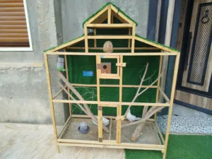 قفص للبيع الله يبارك