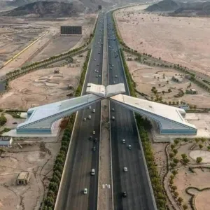 مظلات وسواتر دار العرب