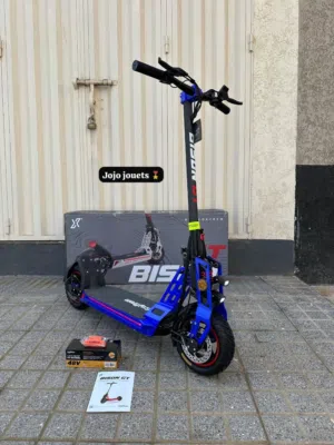 TROTTINETTE ÉLECTRIQUE BIDON GT