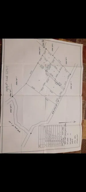 Mixed Use Land for Sale in Nablus Taluza