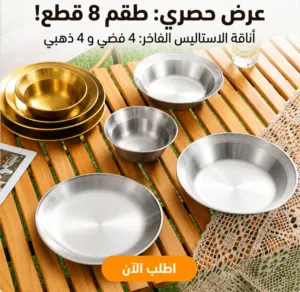طقم اطباق استانليس 8 قطع 4 ذهبي و 4 فضي