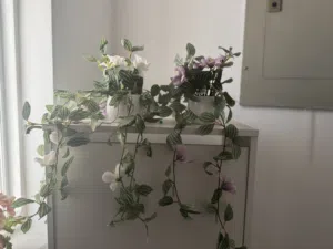 Decor and household essentials