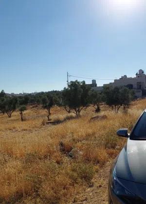Residential Land for Sale in Amman Khirbet Sooq