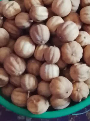لومي محفف للبيع الكيلو 1,200 بيسه