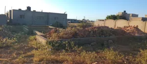 قطعة ارض عليها كاتينة