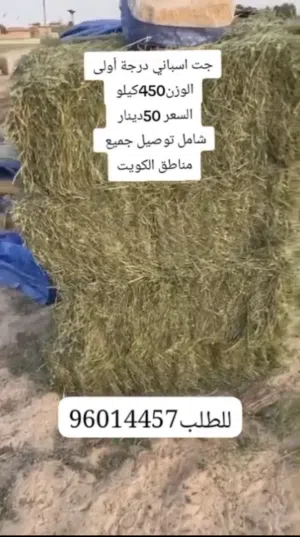 جت أسباني درجة اولى