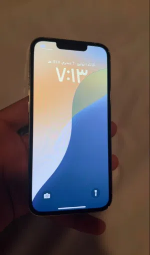iPhone 13 pro