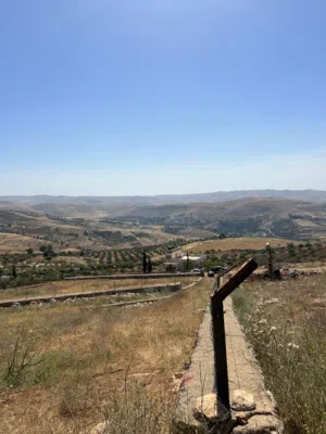 Farm Land for Sale in Jerash Unaybah