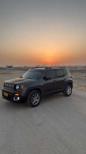 Jeep renegade my sky 2017