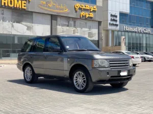 Range Rover HSE / 2009 (Grey)