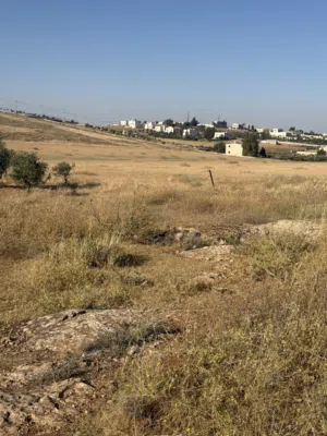 Residential Land for Sale in Mafraq Other