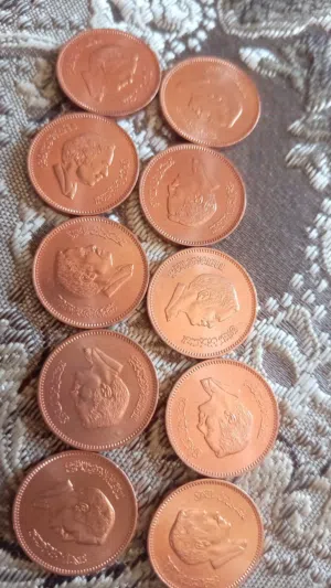 فلس اردني 100 حبه الحاله انسر