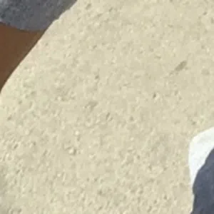 ،. 