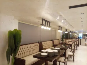 برادي زيبرا تركي وكوري مكفول