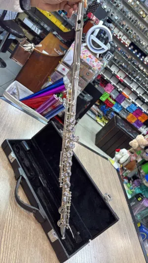 موسيقى الات نفخية الات وترية الات ايقاعية فلوت معدن فلون خشب كلارينيت مجوز ريكوردر عود جيتار اورغ