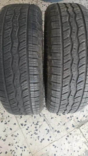 اطارات 20.265.60