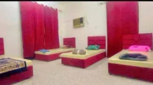 سكن مشترك شهري اسبوعي يوم  مقابل شيشه هرمز الخوير