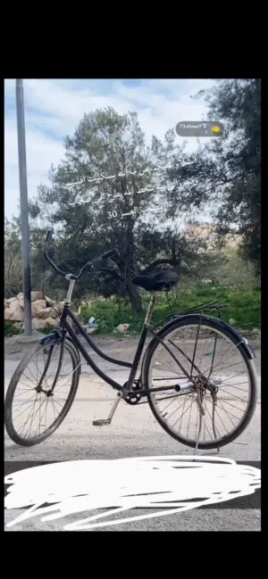 بسكليت فلبس