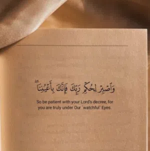 محمد رضا 