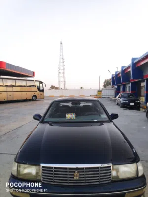 بطة كراون 1995