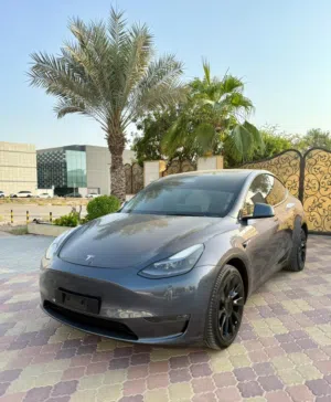 Tesla تيسلا مودل Y 2022