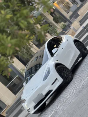 تيسلا موديل Y 2023 فحص كامل اوتوسكور ناجح Tesla modal Y