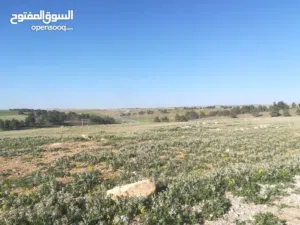 ارض زراعية للبيع