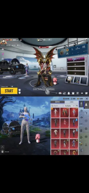 Pubg Accounts and Characters for Sale in Al Batinah