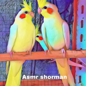 Asmr Shorman