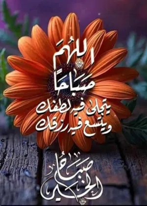 سوزوكي التو 2018 للبيع جديده لانج فابريكا لا يوجد صور المعاينه مكان