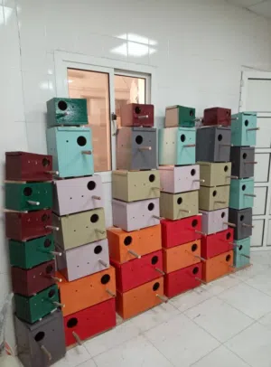 Cage for sale for birds