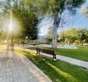 اويس owis