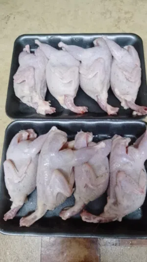 سمان مذبوح على طلب