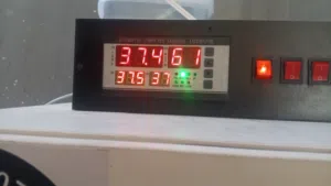 فقاسة اوسكار بسعر مغري للبيع المستعجل