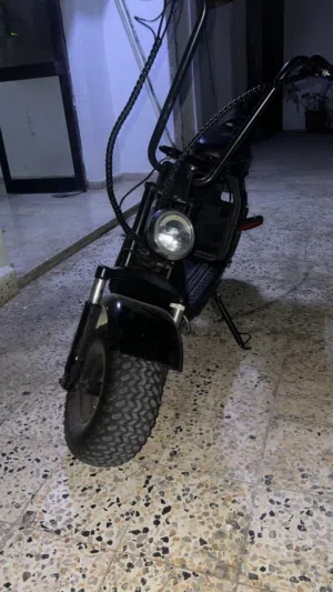 Harley medium 2 months old like new