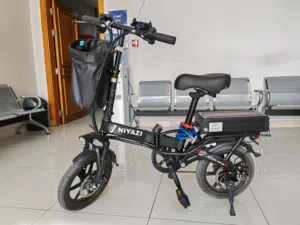 Electric bycicle
