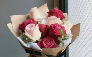 Nassem Nady