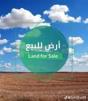 قطعة ارض في الصقلاوية زراعية سند 25 نصف دونم  شارع تبليط وكهرباء وماء اسالة