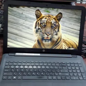 لابتوب HP أنيق ونظيف جداً جداً للبيع (أداء ممتاز للدراسة والعمل المكتبي) 105 دولار فقط