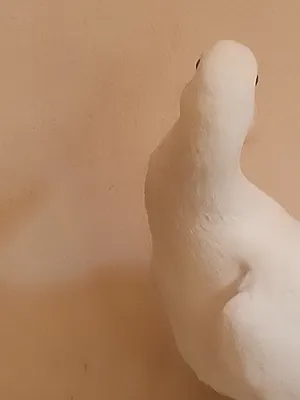 ‏حمام‏3