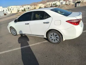 كورولا للبيع موديل 2019 السعر 3400