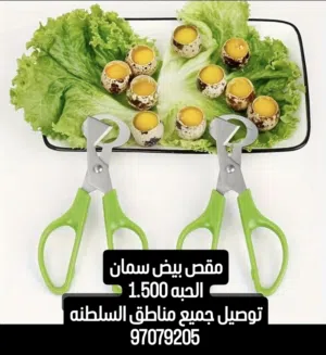 مقص بيض سمان للبيع وعلب تخزين بيض سمان