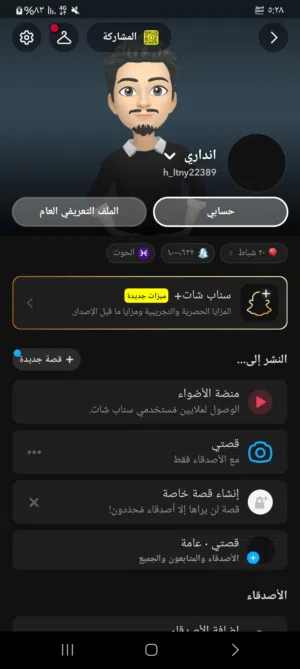 Social Media Accounts and Characters for Sale in Irbid