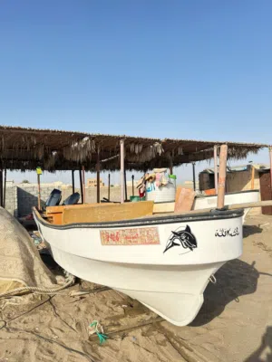 قارب 23 قالب الكبير مصنع لاشكوه مع الملكيه بدون مكاين