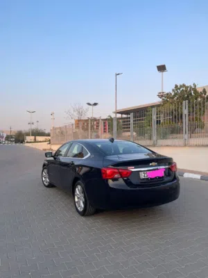 امبالا رقم سليمانية موديل 2019