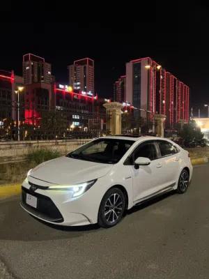 Used Toyota Corolla in Erbil