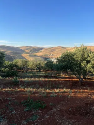 2 Bedrooms Farms for Sale in Jerash Unaybah