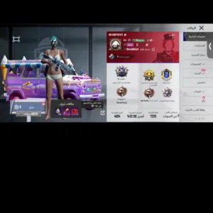 Pubg Accounts and Characters for Sale in Basra
