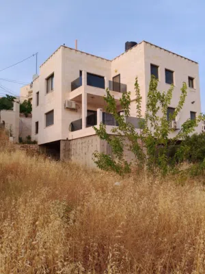 ‏أكثر من 6 غرف ‏.‏ ٣ حمّامات ‏.‏ 260 م٢‏0