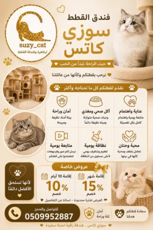 فندق القطط  سوزي كات لاستضافة القطط الأليفة